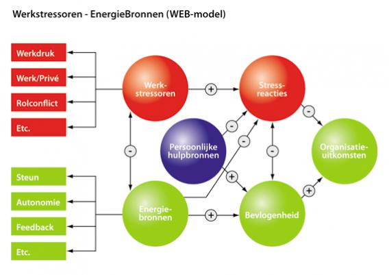 afbeelding WEB-model.jpg