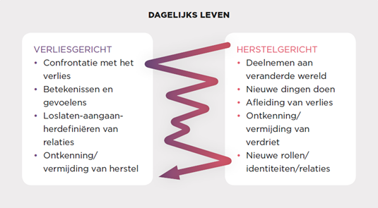 Duale Procesmodel (Stroebe En Schut 1999)